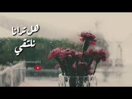 هل ترانا نلتقي ؟ علاء ناجي