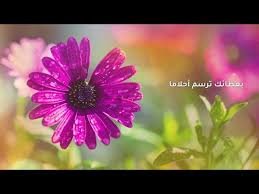 نشيد العطاء - عمار الخنبشي