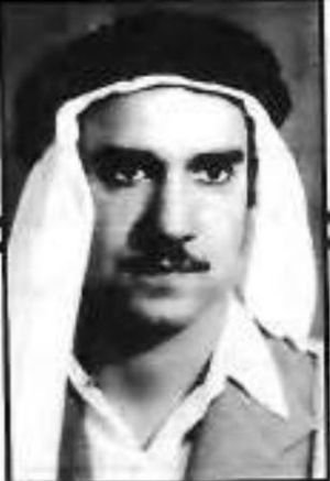 يحيى زكريا الأنصاري
