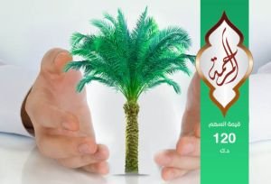 وقف المرحمة